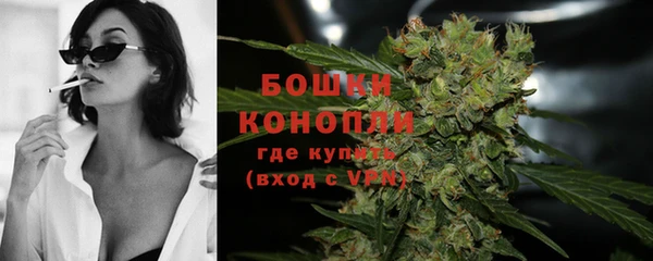 спиды Богородицк