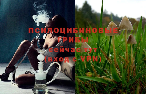 таблы Богданович