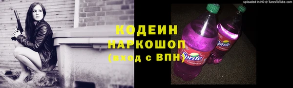 спиды Богородицк