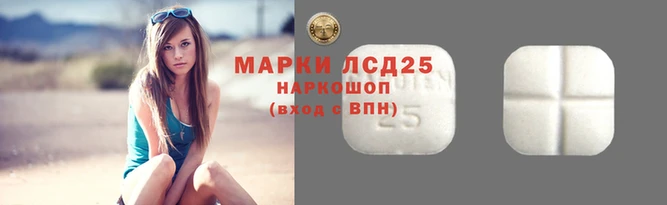 спиды Богородицк