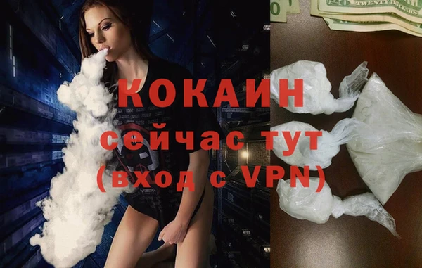 спиды Богородицк