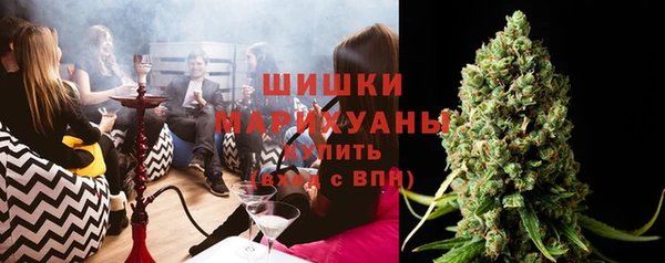 спиды Богородицк
