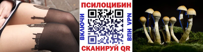 Псилоцибиновые грибы GOLDEN TEACHER  mega маркетплейс  Берёзовка 